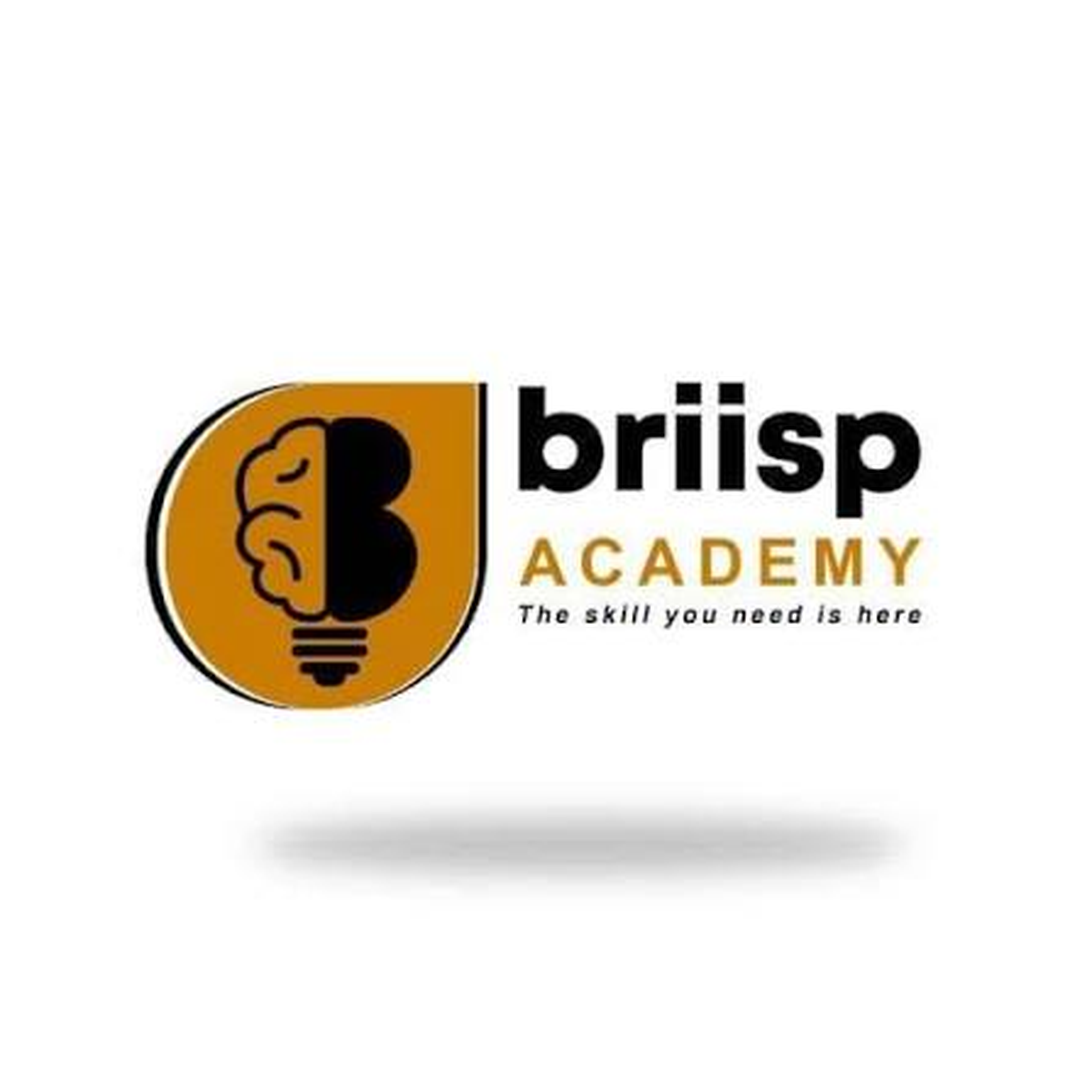 brissp.academy
